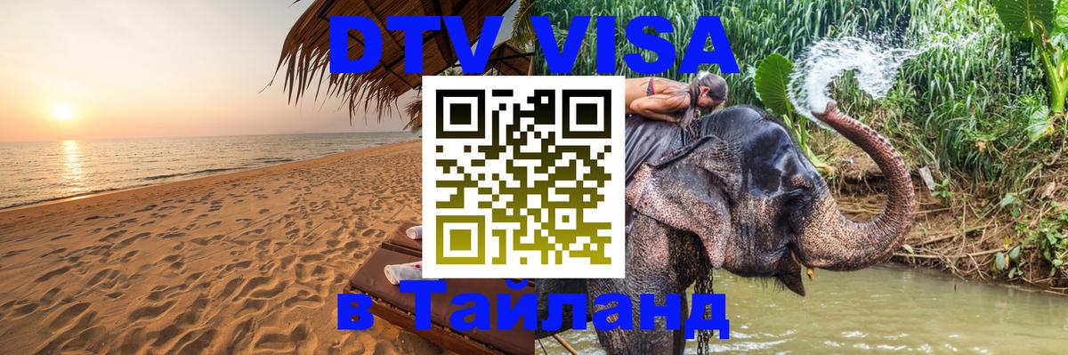 Оформление DTV визы под ключ: стоимость и тарифы, только загранпаспорт - Брянск  04.10.2025 